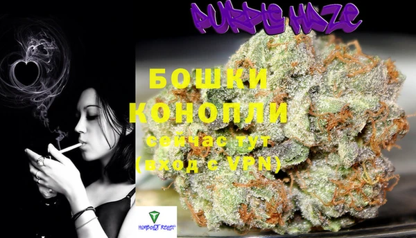 гидропоника Богданович
