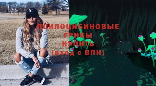 гидропоника Богданович