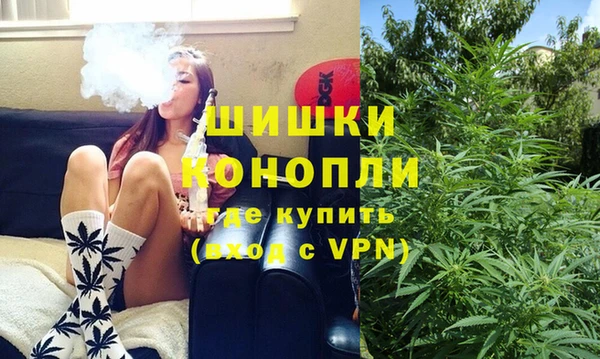 гидропоника Богданович