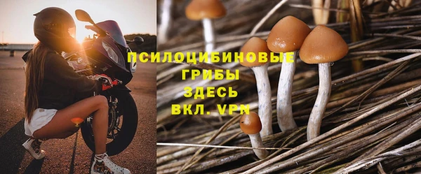 гидропоника Богданович