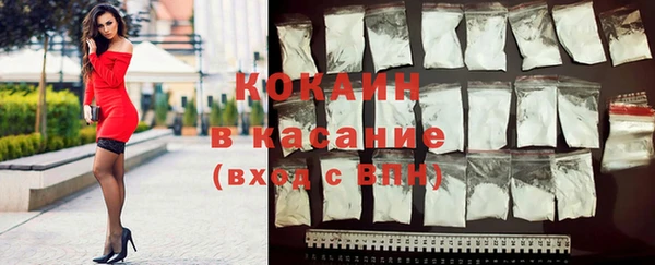 крисы Богородск